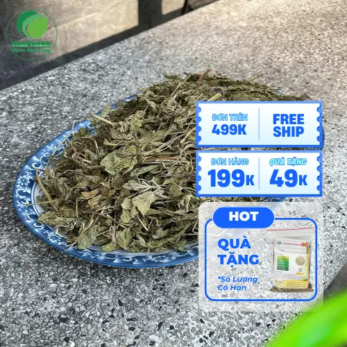 Quy trình tuyển chọn lá bạc hà khô chất lượng cao
