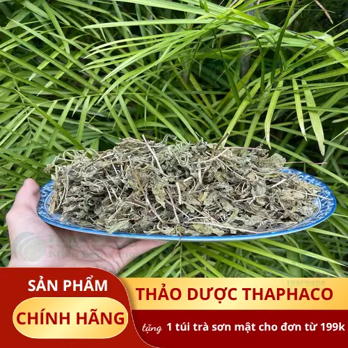 Hình ảnh cận cảnh lá bạc hà khô chất lượng cao với màu xanh tự nhiên và hương thơm đặc trưng