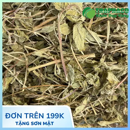 Quy trình đóng gói lá bạc hà khô chất lượng cao tại Dược Liệu Tấn Phát, đảm bảo vệ sinh và giữ được hương vị.