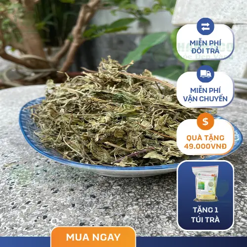 Pha trà lá bạc hà khô để cải thiện hơi thở