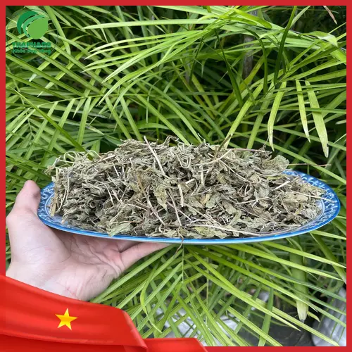Pha trà lá bạc hà khô thư giãn