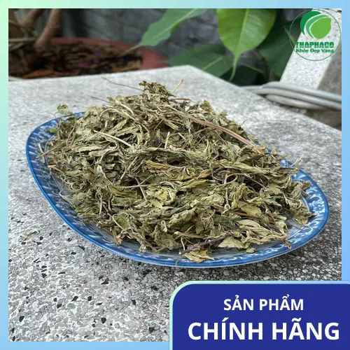 Lá bạc hà khô Dược Liệu Tấn Phát - Đảm bảo vệ sinh an toàn thực phẩm
