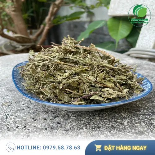 Một tách trà lá bạc hà khô thơm ngon, giải tỏa căng thẳng và hỗ trợ tiêu hóa