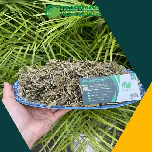 Một cốc trà bạc hà thơm ngon, một trong những cách hiệu quả để tận dụng lợi ích cho tiêu hóa.