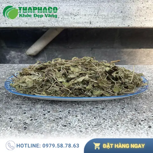Sản phẩm lá bạc hà khô từ Dược Liệu Tấn Phát tại TP.HCM