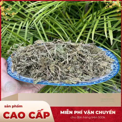 Lá bạc hà tươi chất lượng cao