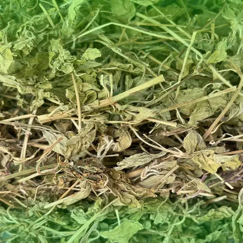 Đóng gói lá bạc hà khô Dược Liệu Tấn Phát chuyên nghiệp