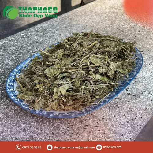Gói lá bạc hà khô cao cấp từ Dược Liệu Tấn Phát với thông tin sản phẩm rõ ràng
