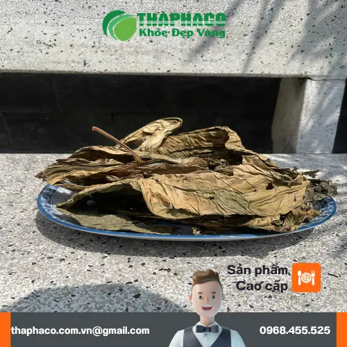 Lá khôi tía phơi khô tự nhiên, đảm bảo dược tính
