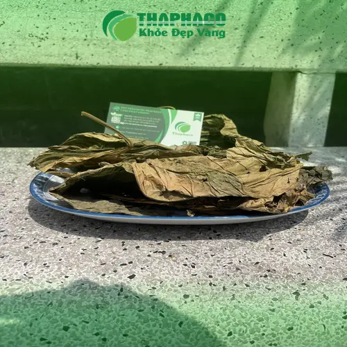 Lá khôi nhung tươi với mặt dưới có lông tơ mịn màng và màu xanh đều