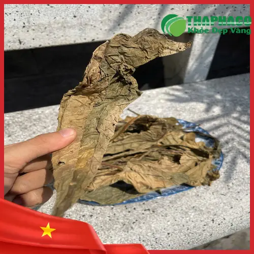 Lá khôi tía được đóng gói cẩn thận trước khi giao hàng