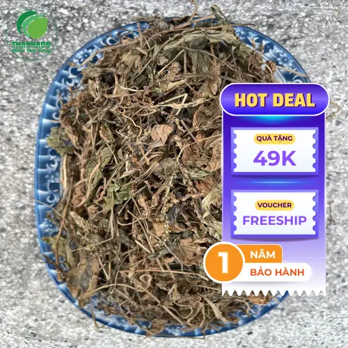 Quy trình tuyển chọn và sấy khô mã đề tại Dược Liệu Tấn Phát
