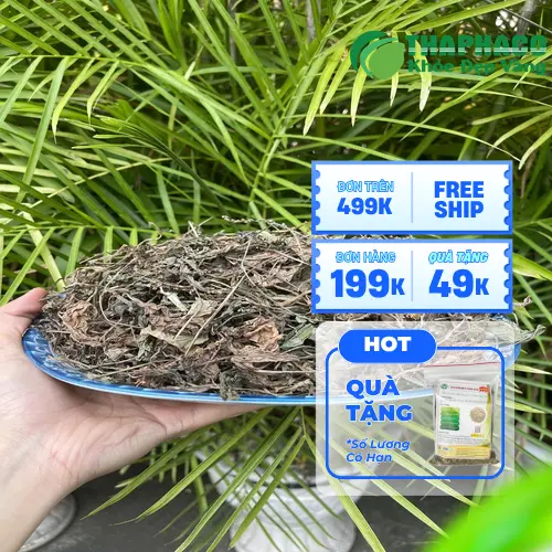 Mã đề sấy khô chất lượng cao được đóng gói cẩn thận