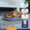 Móp Gai Sấy Khô: Địa Chỉ Mua Uy Tín Tại TP.HCM