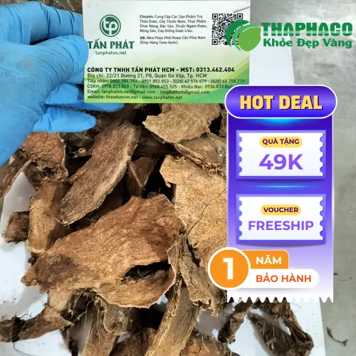 Thành phẩm móp gai sấy khô, thảo mộc khô chất lượng cao