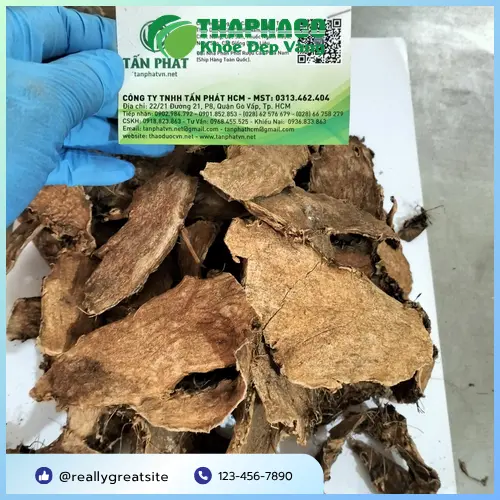 Quy trình sấy khô móp gai hiện đại đảm bảo giữ nguyên dưỡng chất