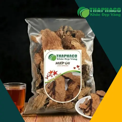 Dược Liệu Tấn Phát - Địa chỉ cung cấp móp gai sấy khô uy tín tại TP.HCM