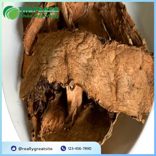 Mướp gai tươi - Nguyên liệu chất lượng cao