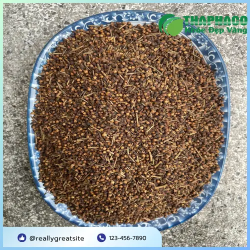 Bảo quản Nụ vối sấy khô đúng cách để giữ dược chất