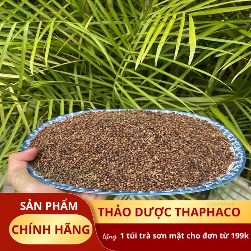 Kho hàng Dược Liệu Tấn Phát tại TP.HCM - Sẵn sàng cung ứng nụ vối sấy khô số lượng lớn