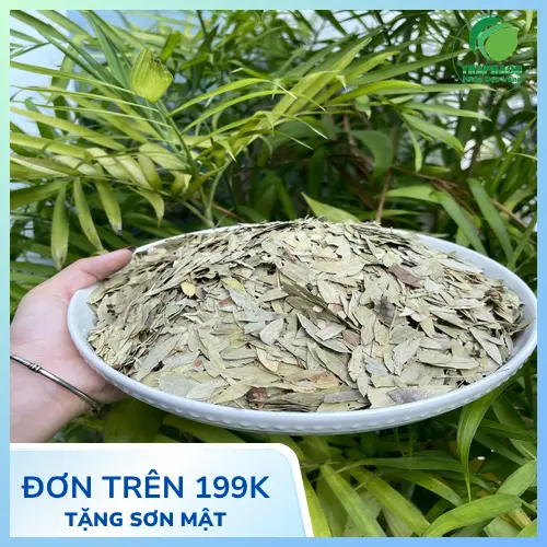 Hình ảnh phan tả diệp khô chất lượng cao tại Dược Liệu Tấn Phát