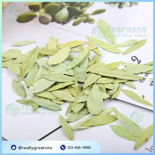 Hướng dẫn cách pha trà phan tả diệp đúng cách và hiệu quả