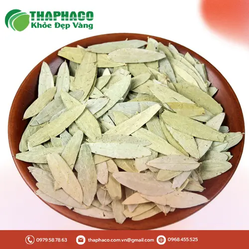 Sản phẩm phan tả diệp chất lượng cao từ Dược Liệu Tấn Phát