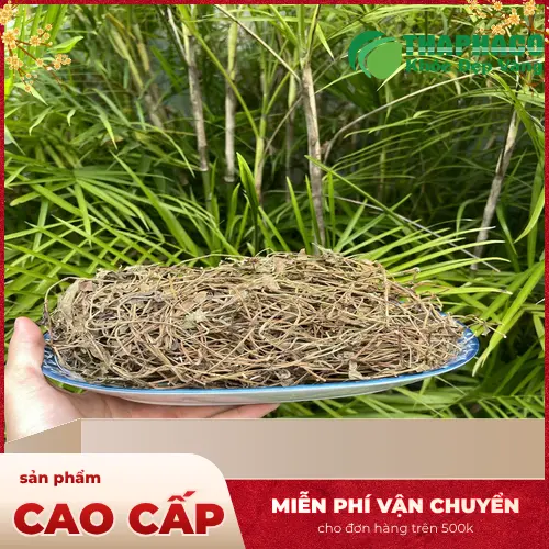 Sài đất khô đã được sơ chế và cắt nhỏ