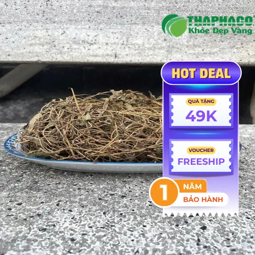 Quá trình kiểm định chất lượng sài đất khô tại Dược Liệu Tấn Phát