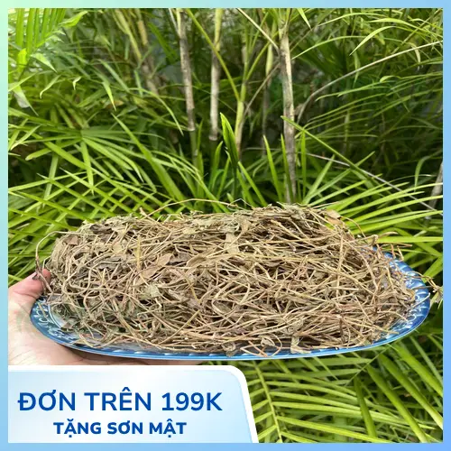 Quy trình sấy khô sài đất tại nhà máy Tấn Phát