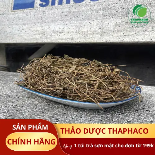 Đảm bảo chất lượng sài đất sấy khô tại Dược Liệu Tấn Phát