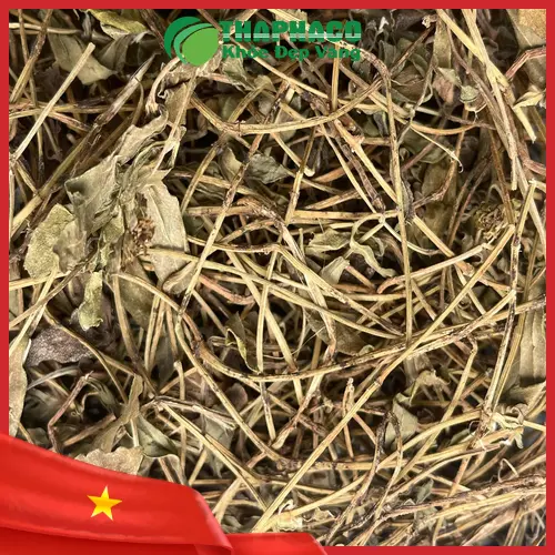 Sài đất khô được đóng gói cẩn thận, sạch sẽ và có nhãn hiệu, thể hiện sự chuyên nghiệp của Dược Liệu Tấn Phát.