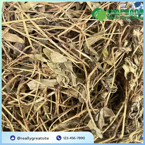 Sài đất sấy khô Tấn Phát đã đóng gói sẵn sàng giao đến khách hàng