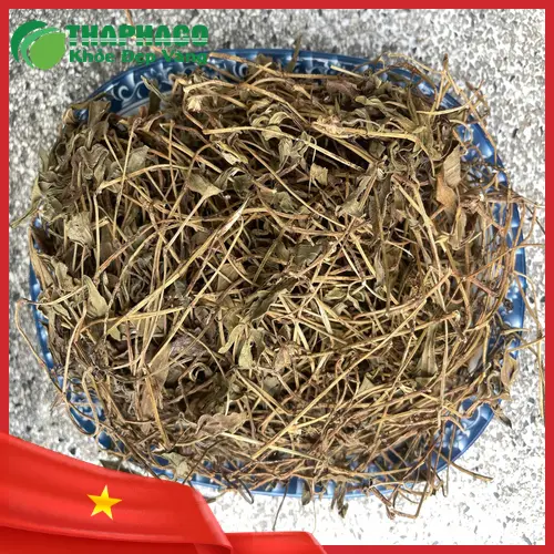 Gói sài đất khô đã đóng gói cẩn thận tại Dược Liệu Tấn Phát