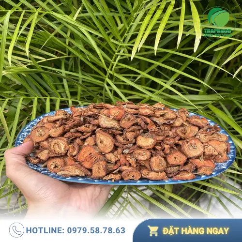 Táo mèo khô giúp giảm cholesterol và ổn định huyết áp