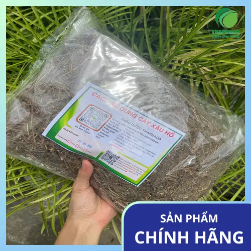 Địa chỉ bán cây xấu hổ khô tại TP.HCM - Dược Liệu Tấn Phát