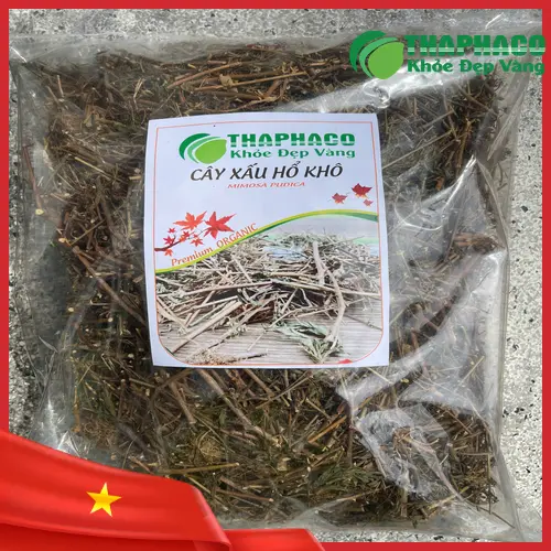 Cây xấu hổ khô chất lượng cao từ Dược Liệu Tấn Phát