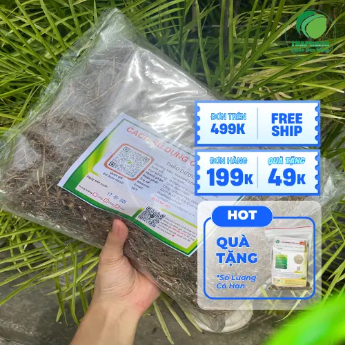 Thảo mộc khô cao cấp cây xấu hổ từ Dược Liệu Tấn Phát