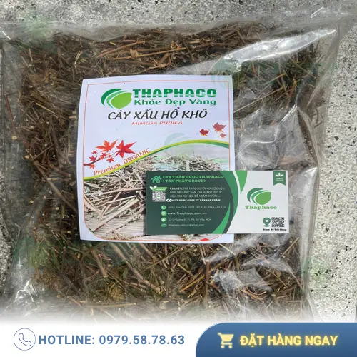 Thảo dược cây xấu hổ đã được sấy khô và đóng gói kỹ lưỡng