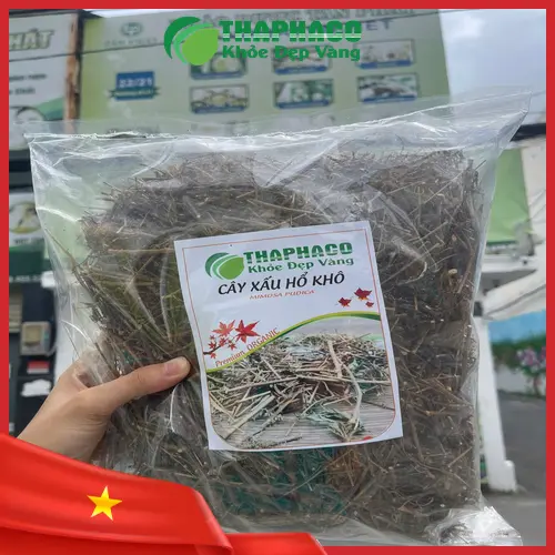 Trà cây xấu hổ pha sẵn trong ly