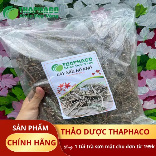 Pha trà cây xấu hổ khô giúp ngủ ngon hơn