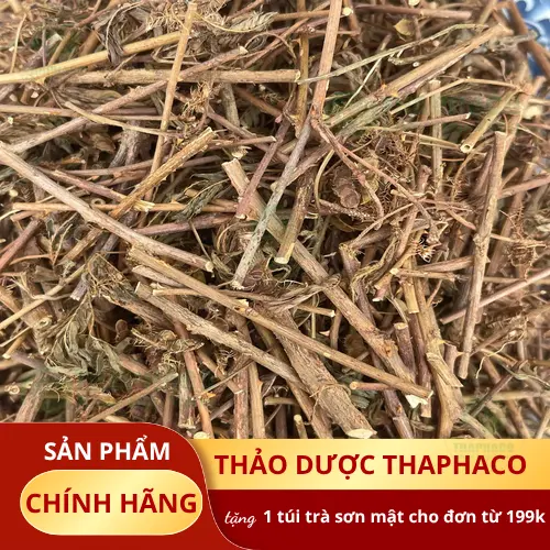 Chuyên gia Dược Liệu Tấn Phát tư vấn cách dùng cây xấu hổ