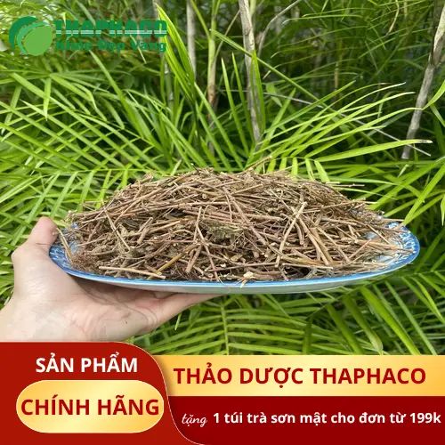 Hướng dẫn sử dụng cây xấu hổ sấy khô đúng cách