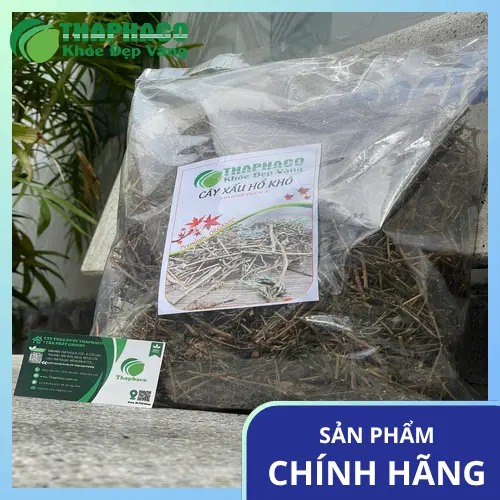 Cây xấu hổ khô đảm bảo vệ sinh