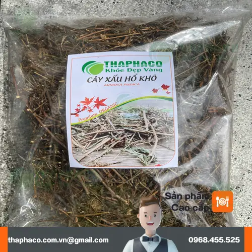 Cách bảo quản thảo dược khô để giữ chất lượng tốt nhất