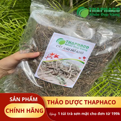 Đánh giá chất lượng cây xấu hổ khô
