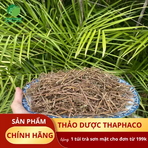 Sản phẩm cây xấu hổ chất lượng cao từ Dược Liệu Tấn Phát