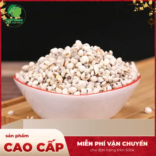 Ý dĩ khô nguyên hạt cao cấp của Dược Liệu Tấn Phát
