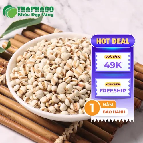 Hình ảnh hạt ý dĩ khô chất lượng cao từ Dược Liệu Tấn Phát