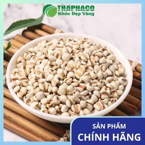 Ý dĩ chất lượng cao cho món cháo dinh dưỡng.